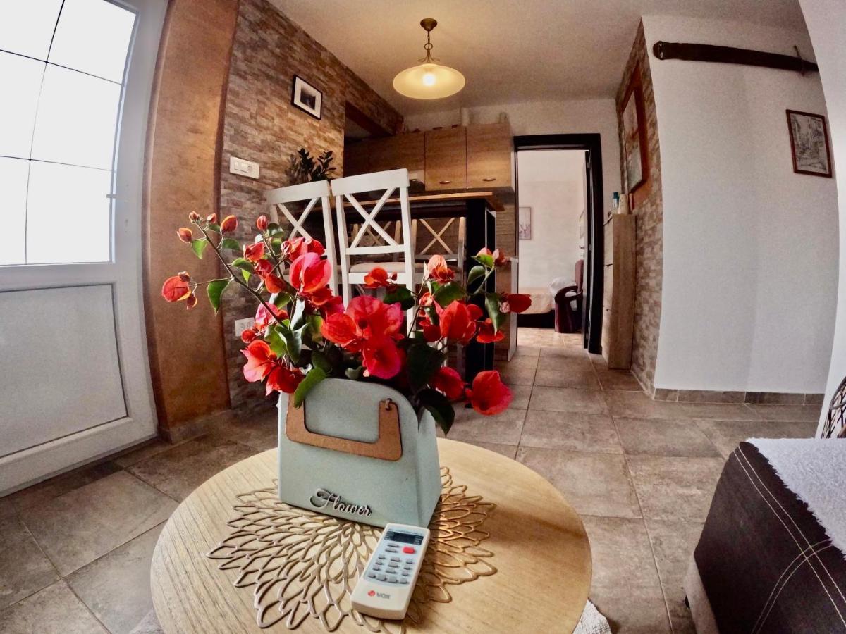 Apartments Obradovic Krasići Extérieur photo